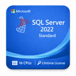 Microsoft SQL Server 2022 Standard