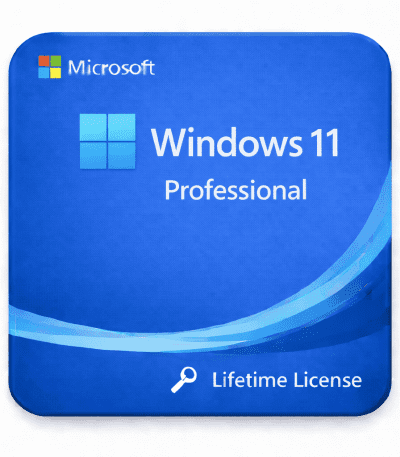 Windows 11 Professional